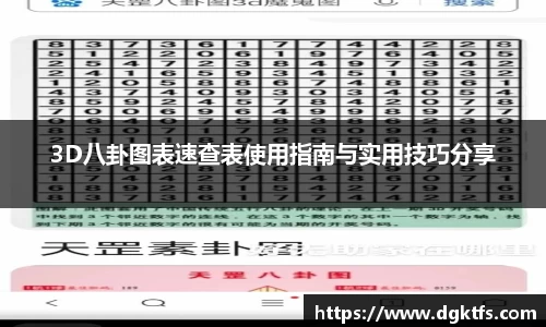 3D八卦图表速查表使用指南与实用技巧分享