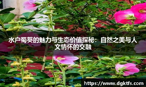 泛亚电竞app下载